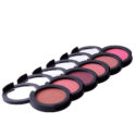 Blusher_9a44de92b3851e06eb200de394ce14cc_022ae787613f856e09c74514d84069a5.jpg